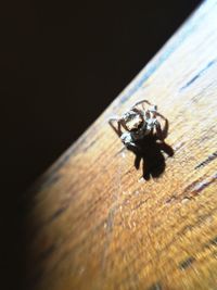 Close-up of wooden plank