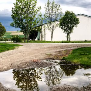 Reflection of trees on field against sky