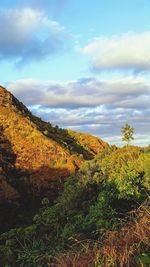 Scenic view of landscape against cloudy sky