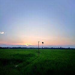 Scenic view of field against sky during sunset