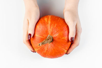 Close-up of pumpkin against white background