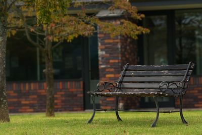 Empty chairs in yard