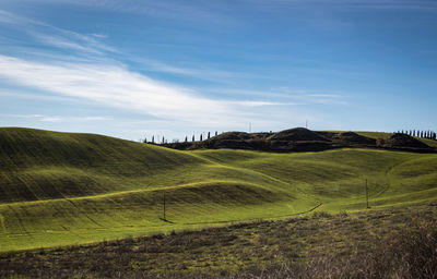 Scenic view of agricultural field against sky