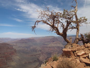 Scenic view of mountain range