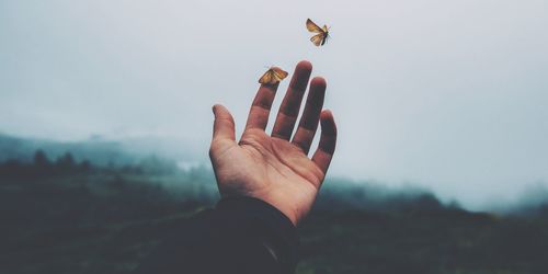human hand
