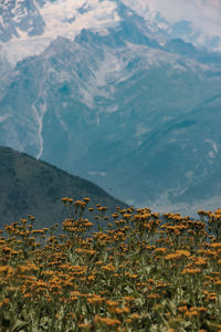 Scenic view of snowcapped mountains against sky