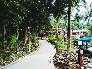 Street amidst trees in forest