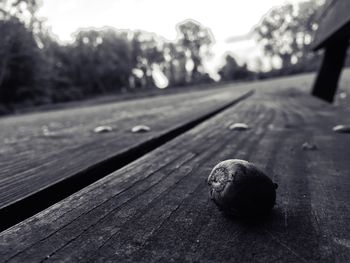 Close-up of wooden plank