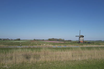 Scenic view of field against clear sky