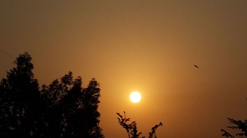 Silhouette bird flying against sky during sunset