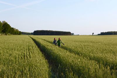 Scenic view of grassy field against sky