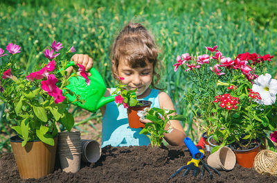 High angle view of girl picking flowers