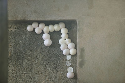 High angle view of pebbles in container