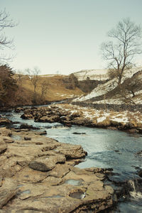 Scenic view of bare trees against clear sky