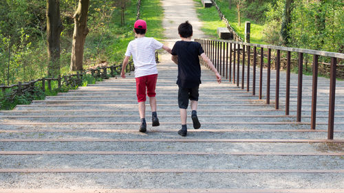 Rear view of people walking on staircase