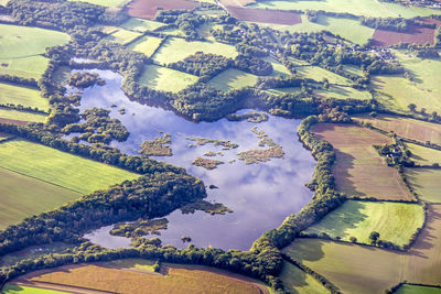 Aerial view of agricultural field