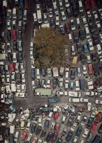 High angle view of street and buildings in city