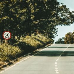 Road sign by trees in city