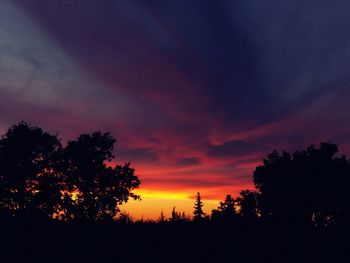 Silhouette of trees at sunset