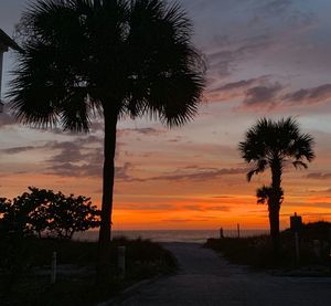 Silhouette palm trees against sky during sunset