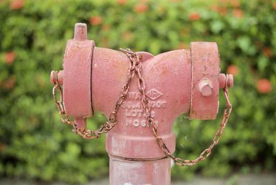 Close-up of fire hydrant