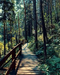 View of wooden footbridge in forest