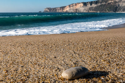 Scenic view of sea shore