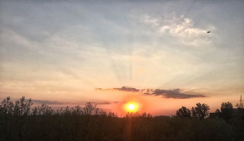 Silhouette trees against sky during sunset