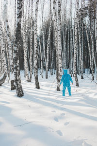 Trees in forest during winter