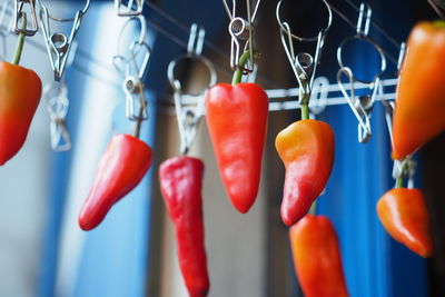 Close-up of fruits hanging