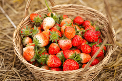 Close-up of strawberries in basket