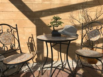 Potted plants on table