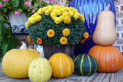 Fall flowers and decorations