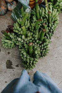 High angle view of vegetables in basket