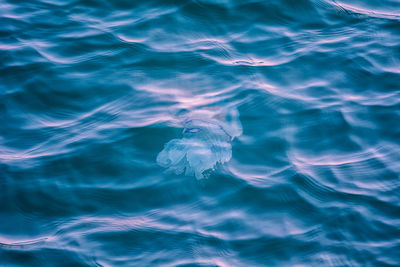 Full frame shot of rippled water