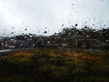 Rain drops on glass