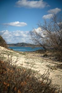 Scenic view of beach against sky