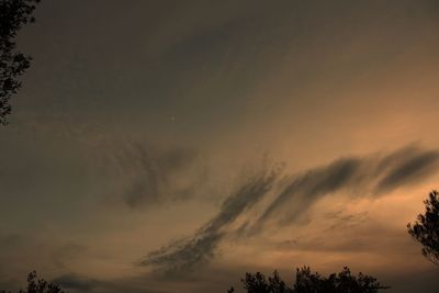 Low angle view of silhouette trees against sky at sunset