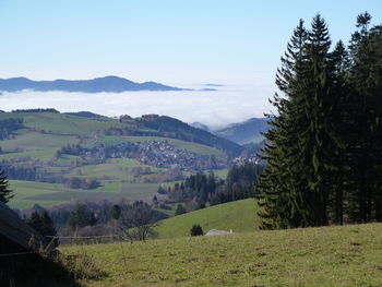 Scenic view of rural landscape