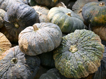 Full frame shot of pumpkins