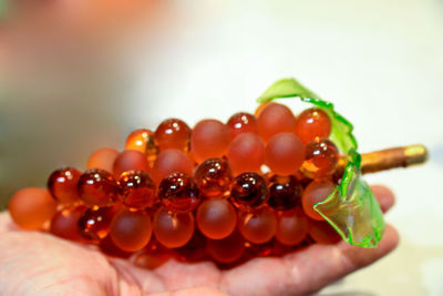 Close-up of hand holding berries over white background