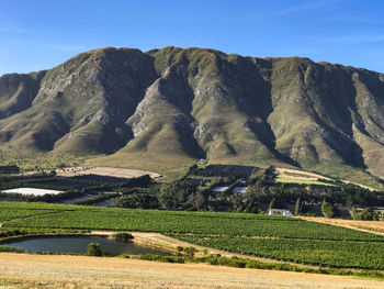 Scenic view of field against clear sky