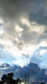 Low angle view of silhouette trees against sky