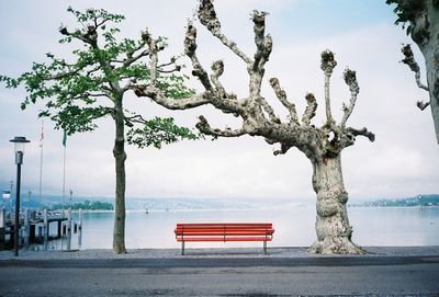 Empty bench by tree on beach against sky