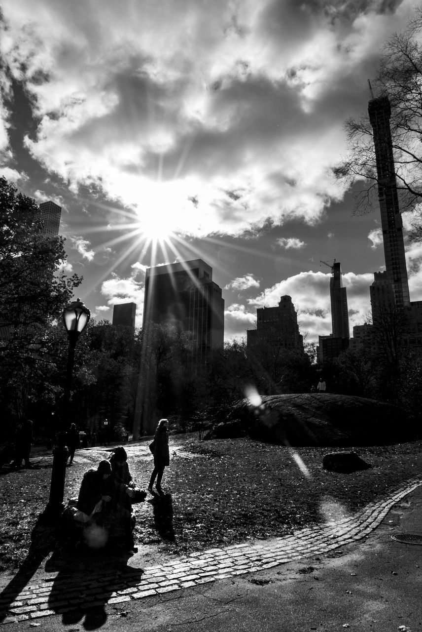 DOG ON CITY AGAINST SKY