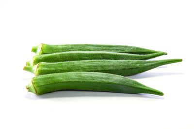 Close-up of green leaf against white background