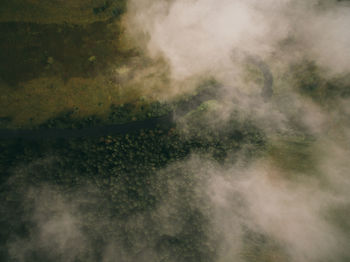 Full frame shot of trees against sky