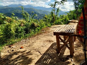 Trees on field against mountains