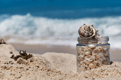 Seashells in jar on sand at beach