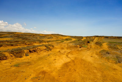 Scenic view of landscape
